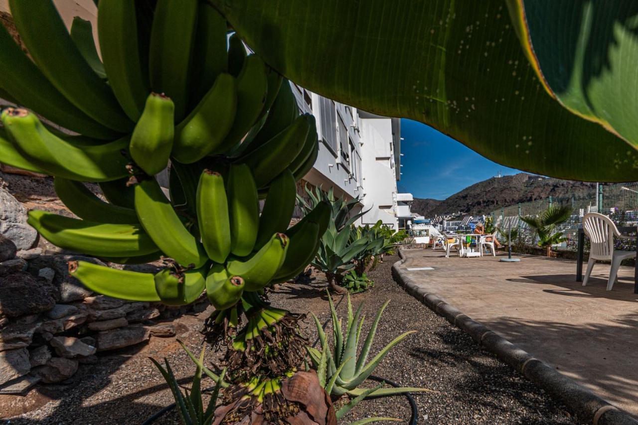 Puerto Rico Corner Apartman Kültér fotó