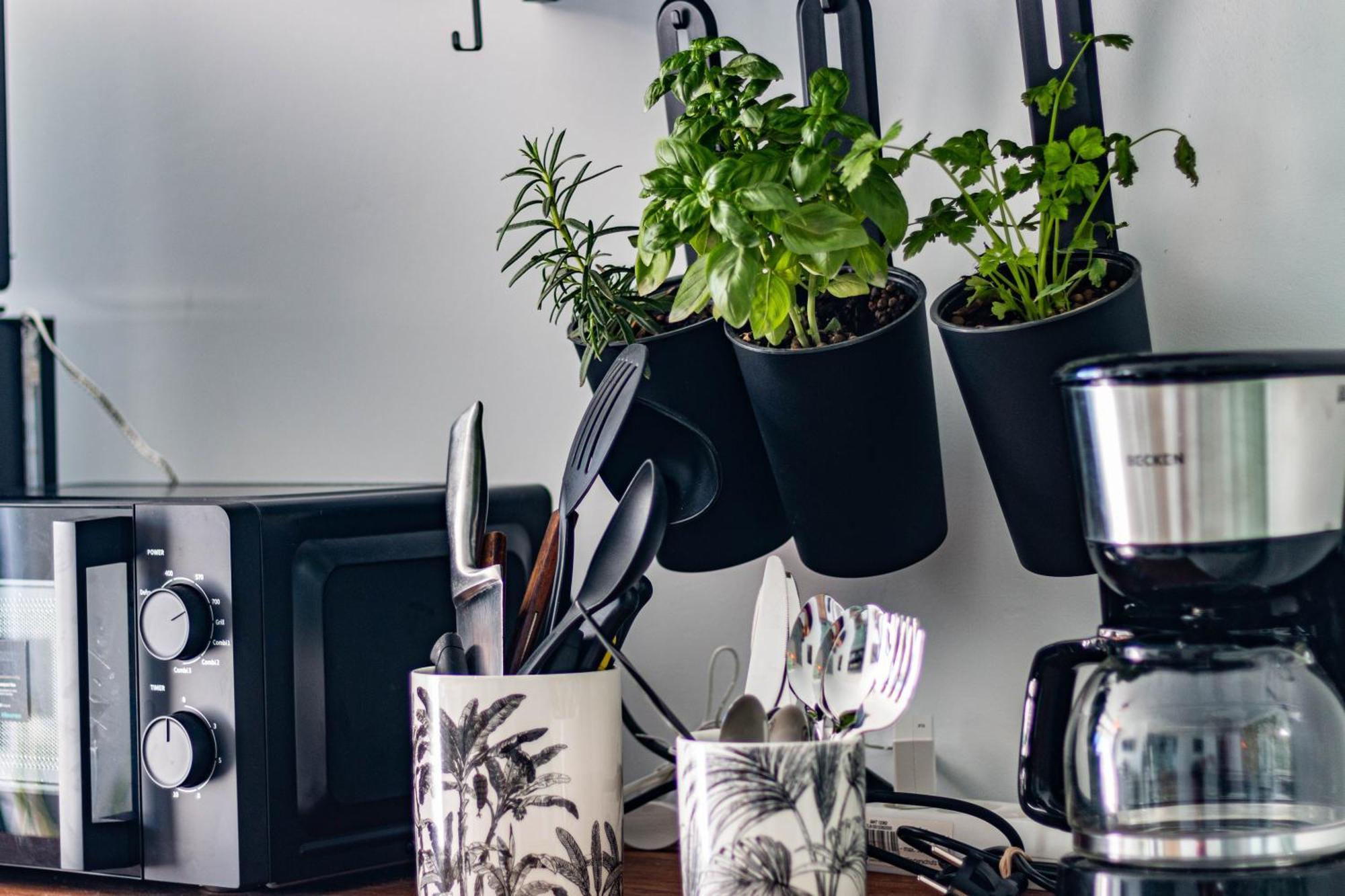 Puerto Rico Corner Apartman Kültér fotó